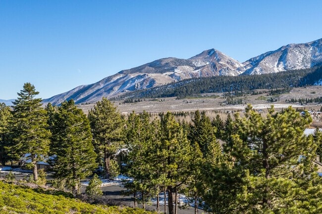 Building Photo - Mountain View Haven