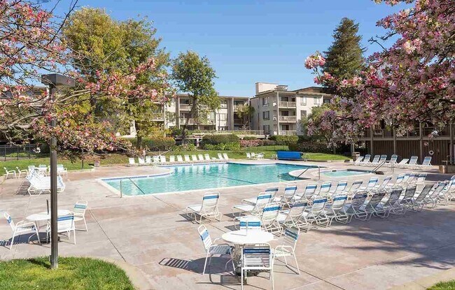 Building Photo - Full Size One Bedroom with Top Floor Privacy