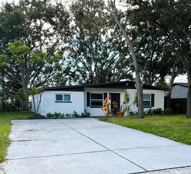 Building Photo - Fully Remodeled 3-Bedroom + Den Home for Rent in St. Petersburg, FL!