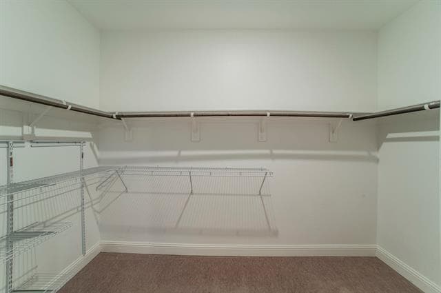 Building Photo - 3317 Evening View