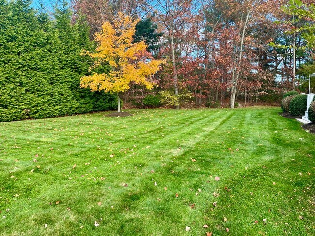 Building Photo - Lawton Lane Management