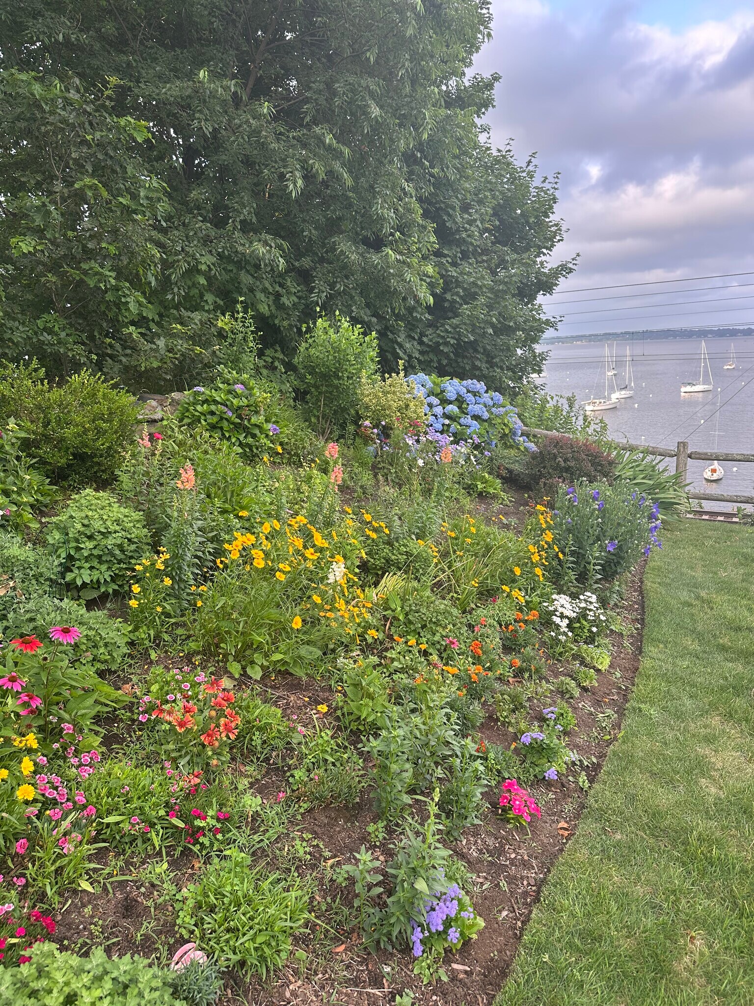 Condo Landscaping - 4480 Post Rd