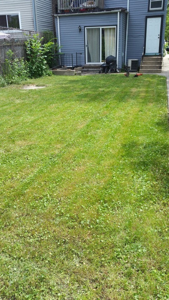 Backyard - 1740 N Spaulding Ave