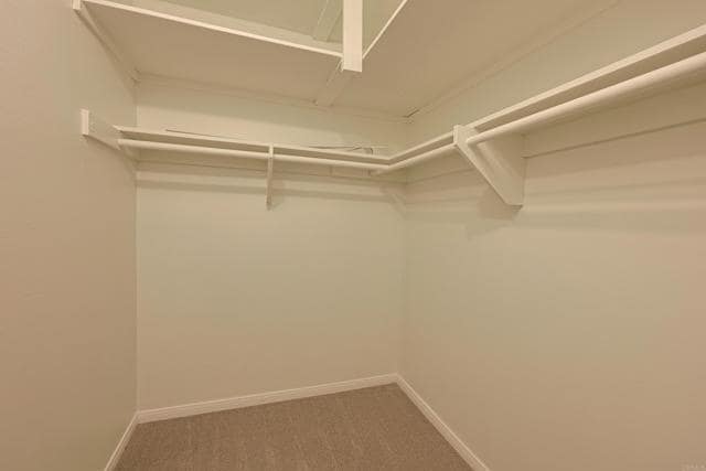 Building Photo - 4800 Williamsburg Ln