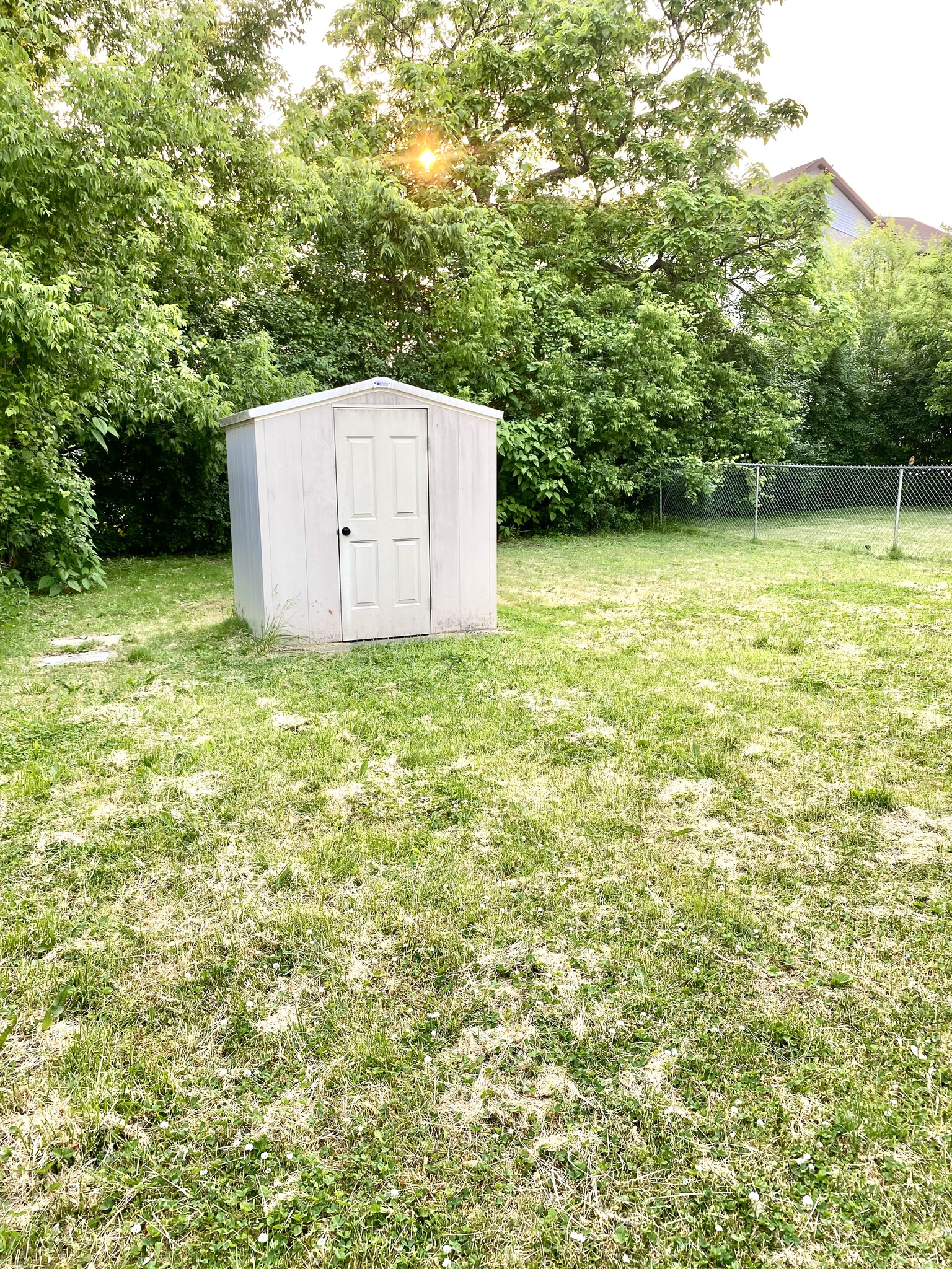 Backyard - 32616 Montcalm St