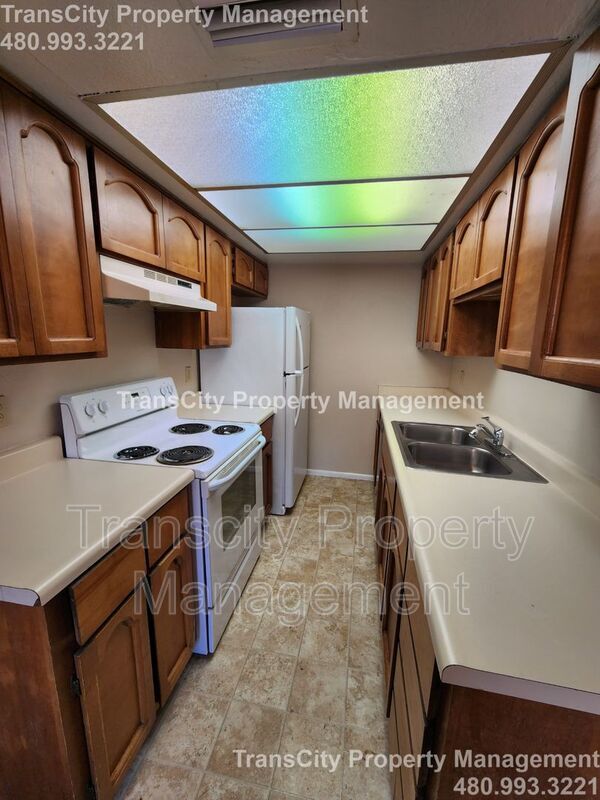 Building Photo - 286 W Palomino Dr