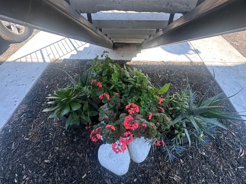 Building Photo - 6005 Hill Dale Ct