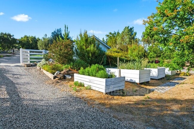 Building Photo - 30605 De Portola Rd