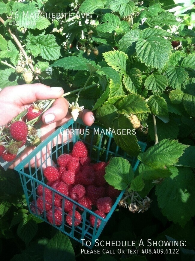 Building Photo - 76 Marguerite Ave