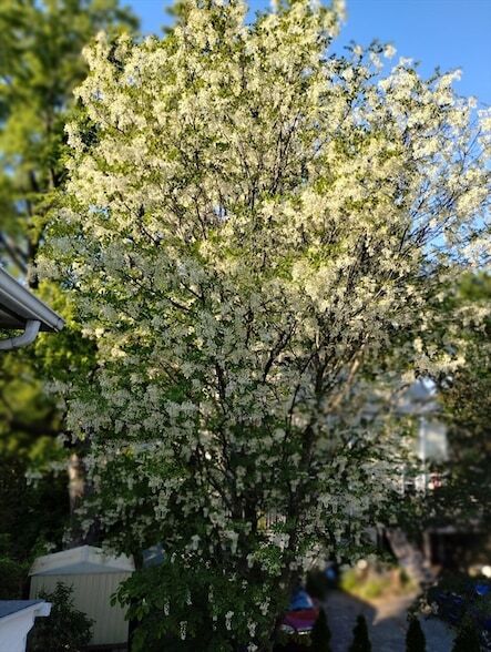 Building Photo - 10 Marrigan St