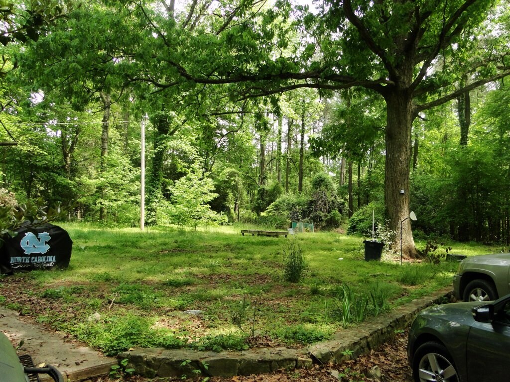 Back yard - 103 Gail Ct