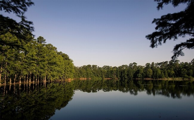 Building Photo - 126 Keechie Creek Ct