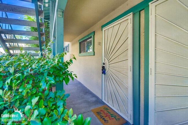 Building Photo - Modern 1Bdm 1Ba Condo in Pacific Beach!