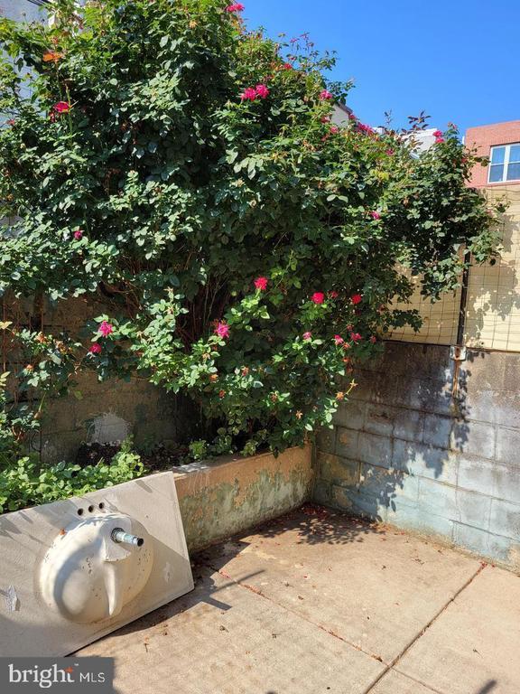 Building Photo - 838 Sears St