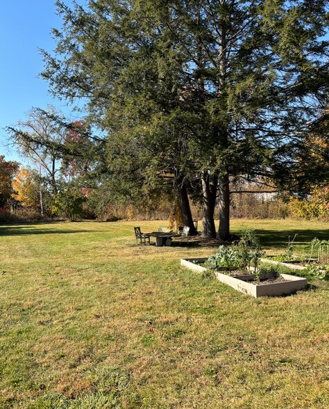 Shared yard - 310 Chapman St