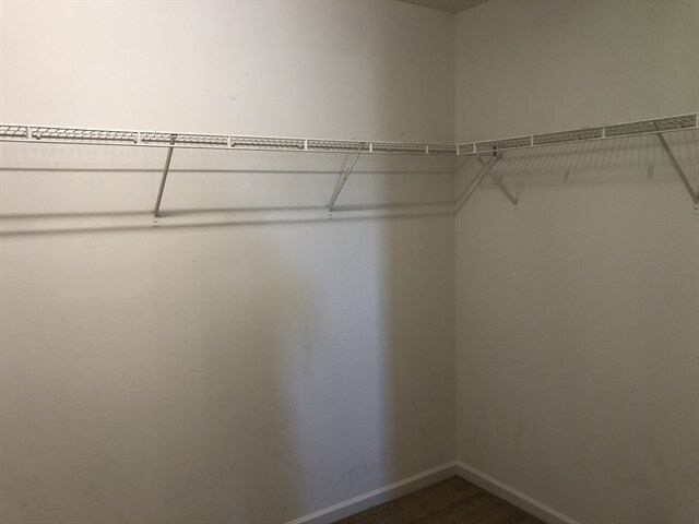 Building Photo - 338 Averasboro Dr