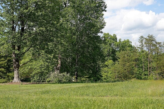 Building Photo - Updated Keswick Cottage on Over 7 Acres