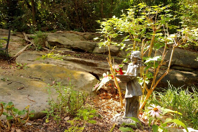 Building Photo - 3222 Country Club Rd