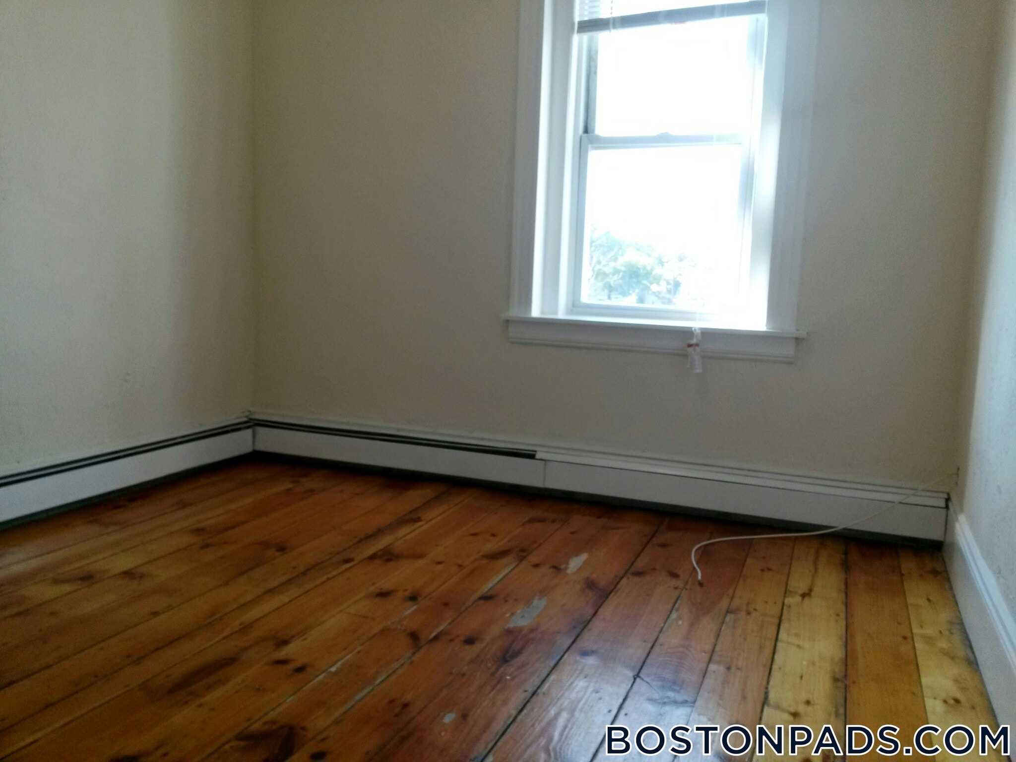 Building Photo - 124 Berkshire St