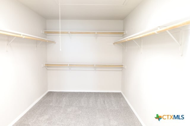 Building Photo - 9904 Maplewood Ct