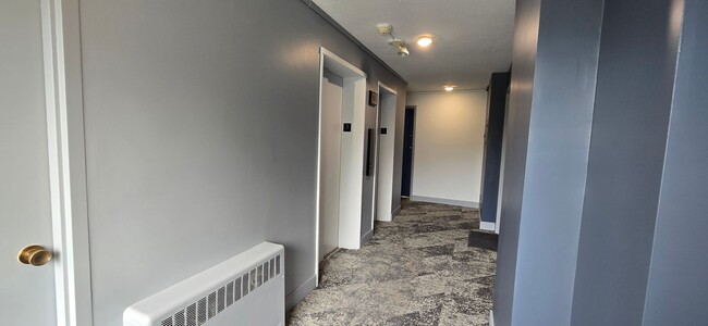 Building Photo - Everything is new! Harvard Sq! Walk to T! ...