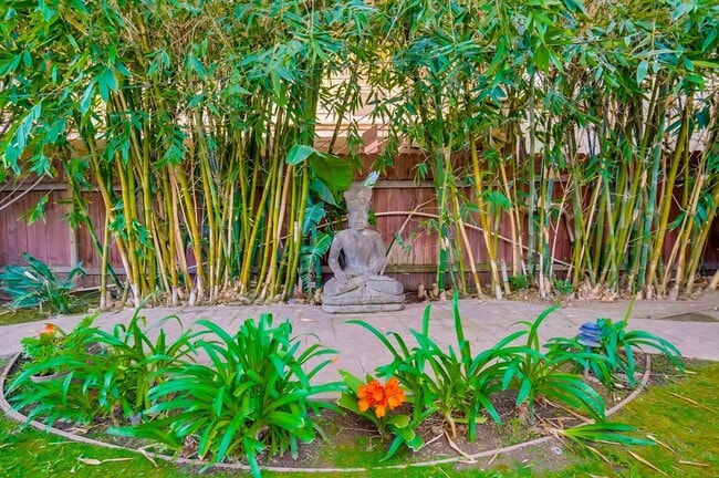 Building Photo - 3131 E Corto Pl