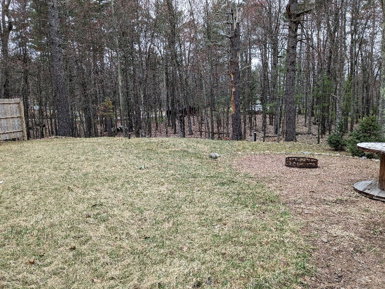 Building Photo - 9815 Wintergreen Dr