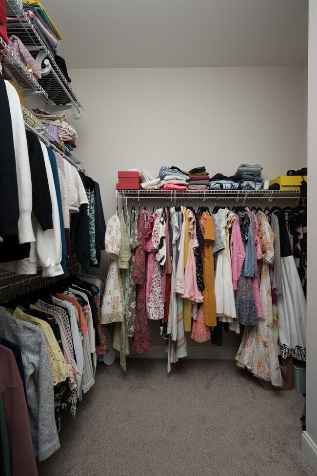 Building Photo - **LIKE NEW EXECUTIVE HOME IN A CUL-DE-SAC ...