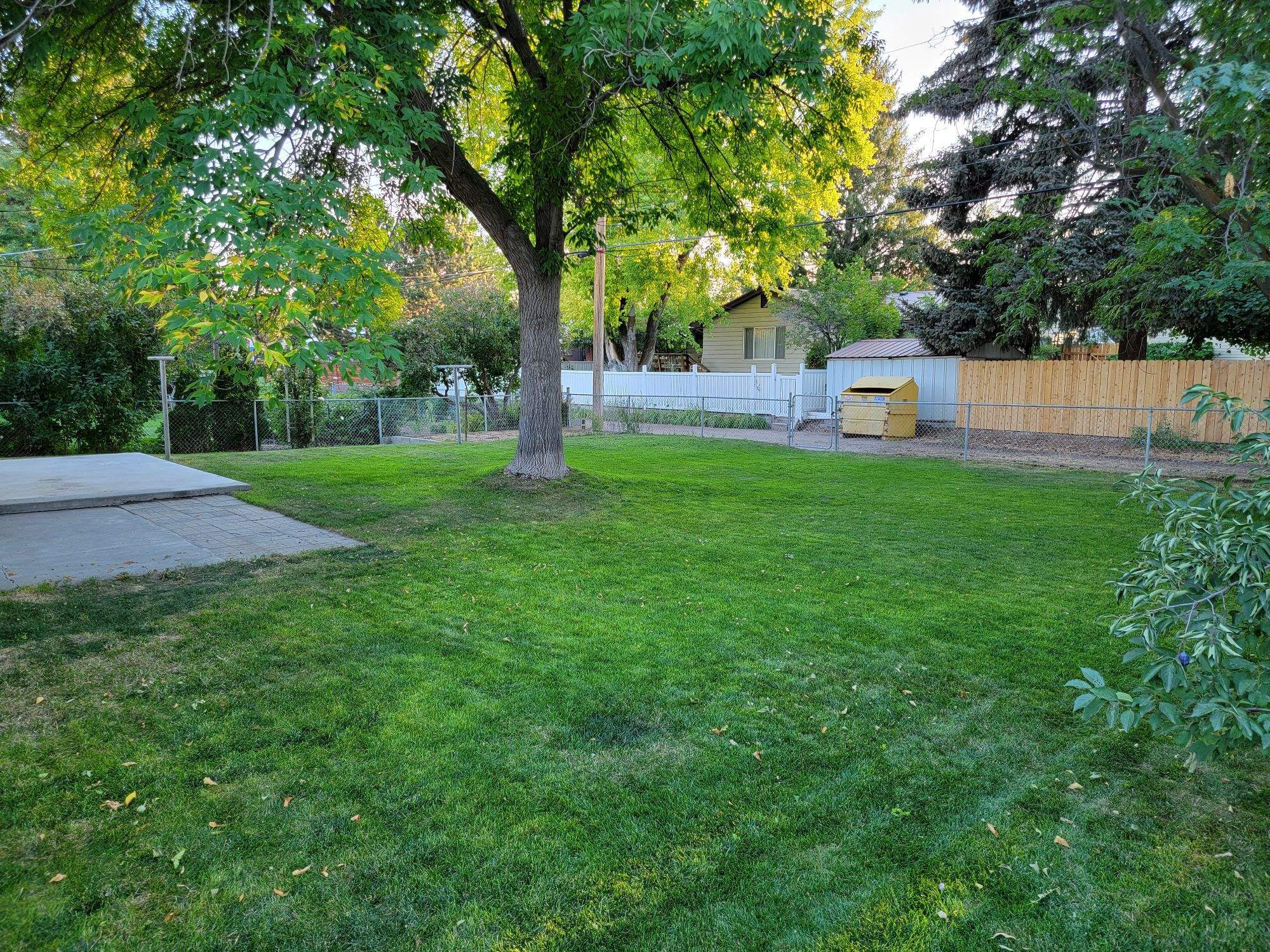 Backyard1 - 779 Reed Avenue