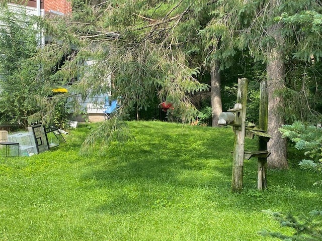 Backyard - 104 Pine St