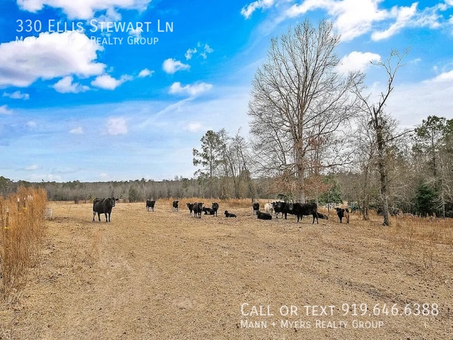 Building Photo - 330 Ellis Stewart Ln