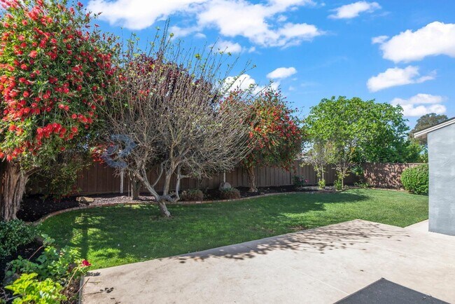 Building Photo - 6258 Castillon Dr