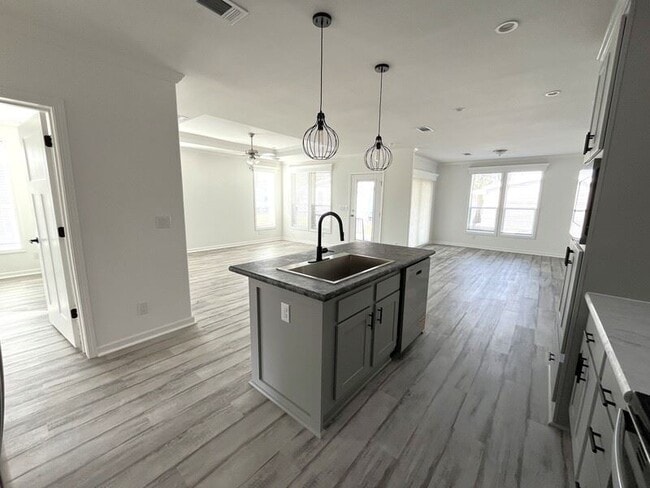 Building Photo - 1057 Vervain Dr