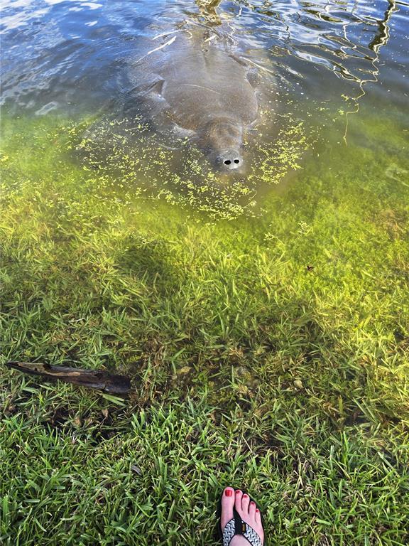 Building Photo - 10906 W Cove Harbor Dr