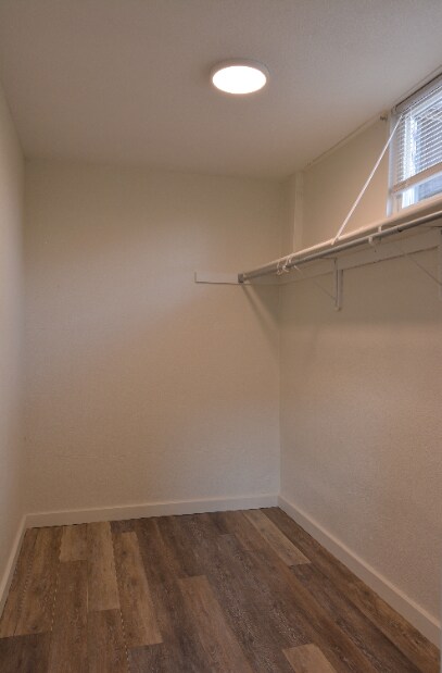 Building Photo - Cozy & Charming 2-Bedroom Apartment in Che...