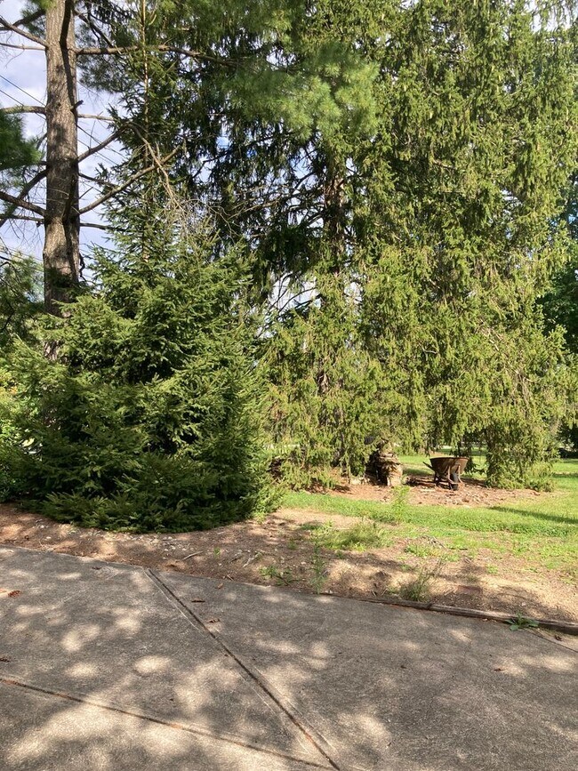Building Photo - 8525 S Spring Valley Park Dr