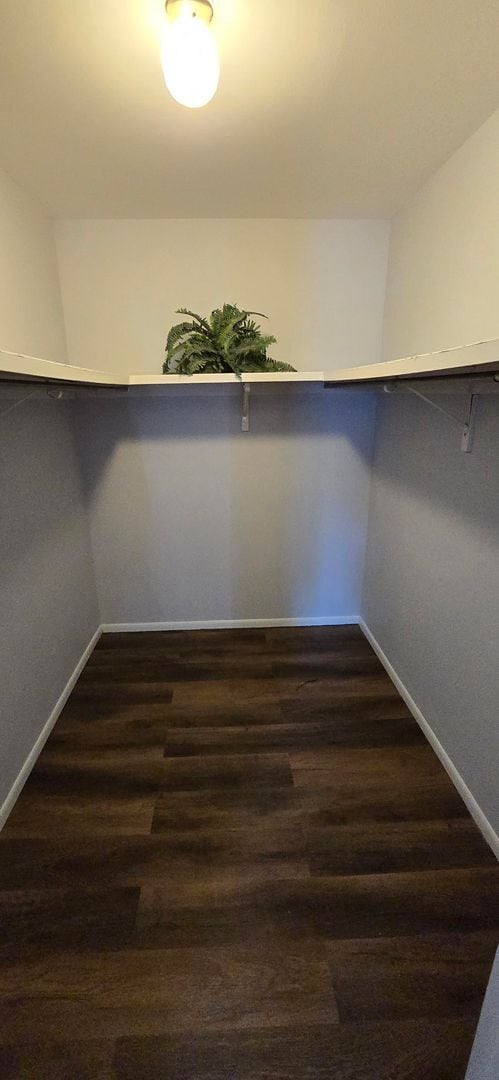 Building Photo - Renovated Two Bedroom Condo with Garage Space in Ladue School District