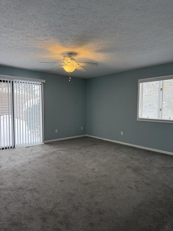 Building Photo - 1762 Pine Cove