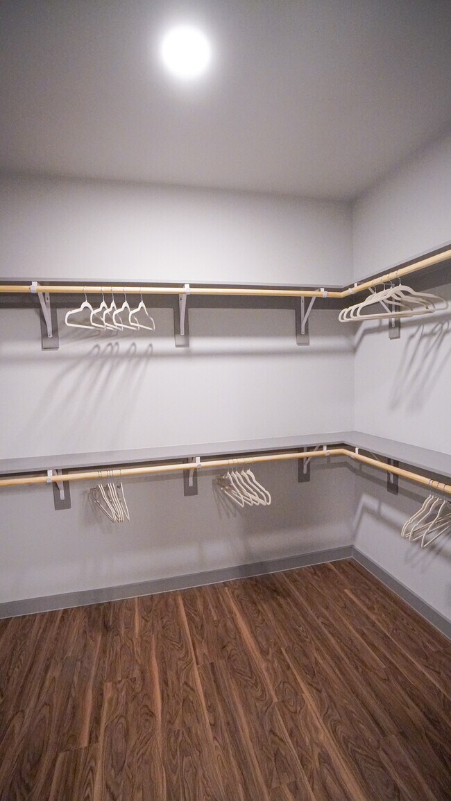 Walk In Closet - 749 Ipswich Ave