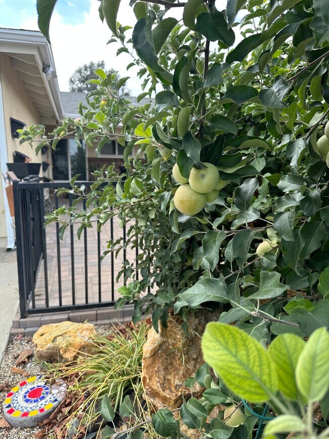 Front of House - 22544 Marlin Pl