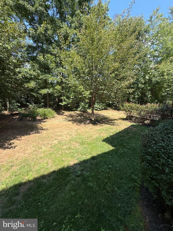 Building Photo - 11621 Pine Hollow Ln