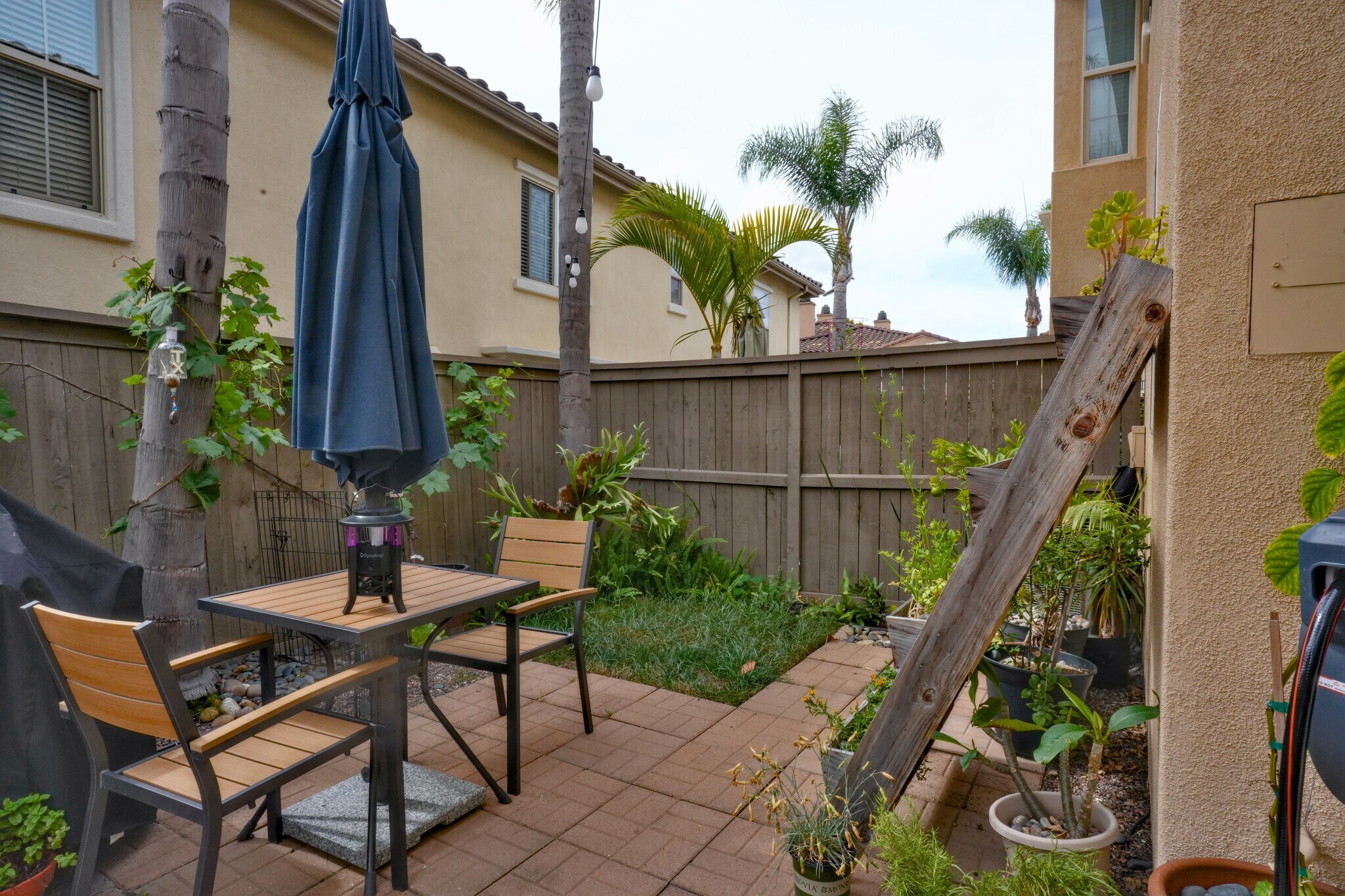 Building Photo - 2649 Bellezza Dr