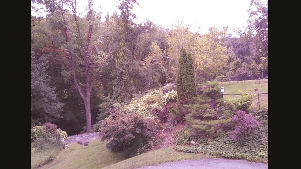 Yard - 105 Osborne Ave