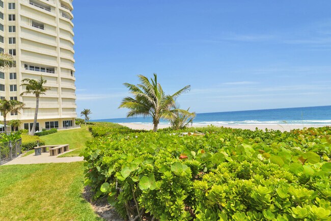 Building Photo - 500 S Ocean Blvd