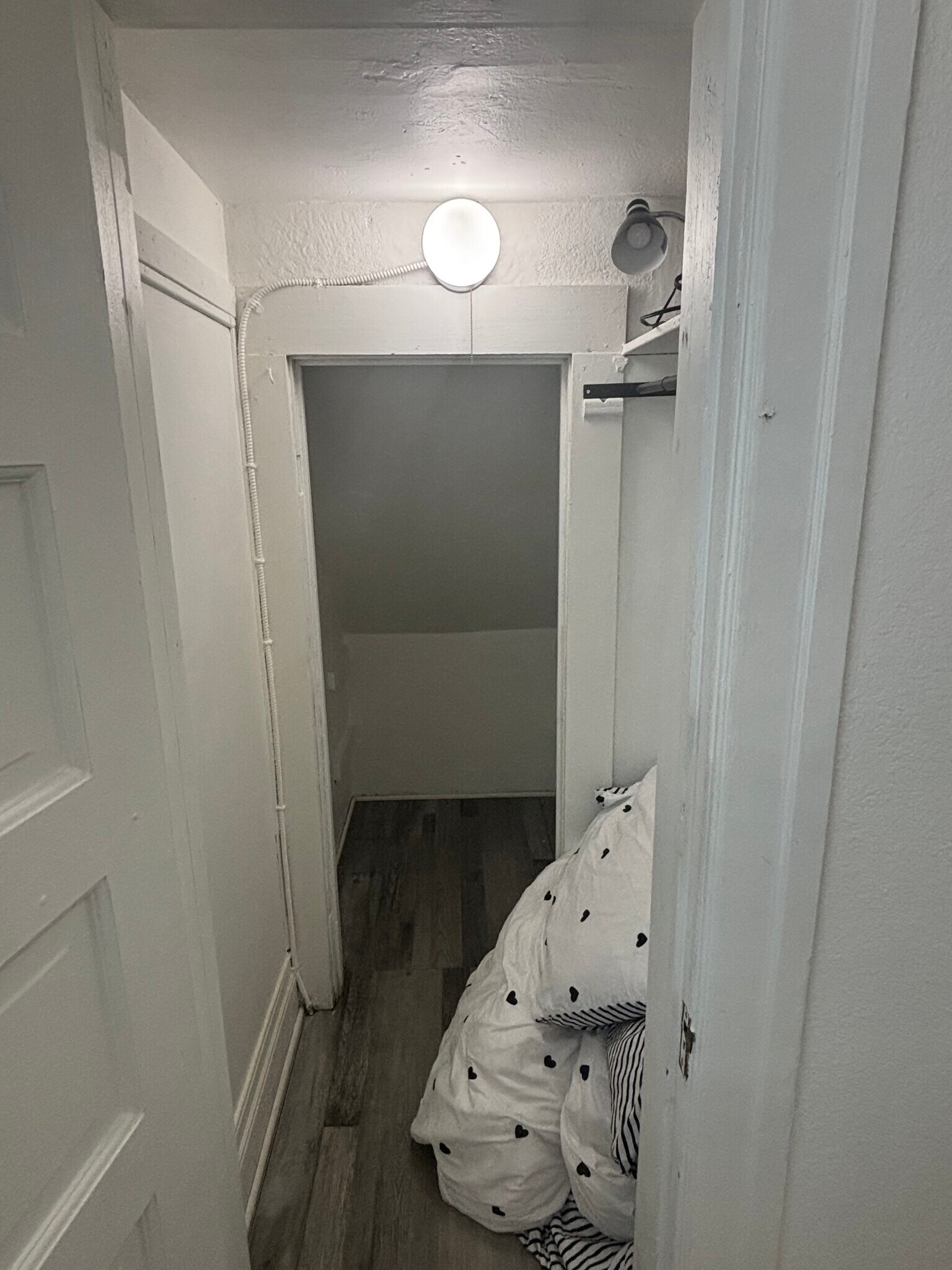 Building Photo - 2515 S Catalina St