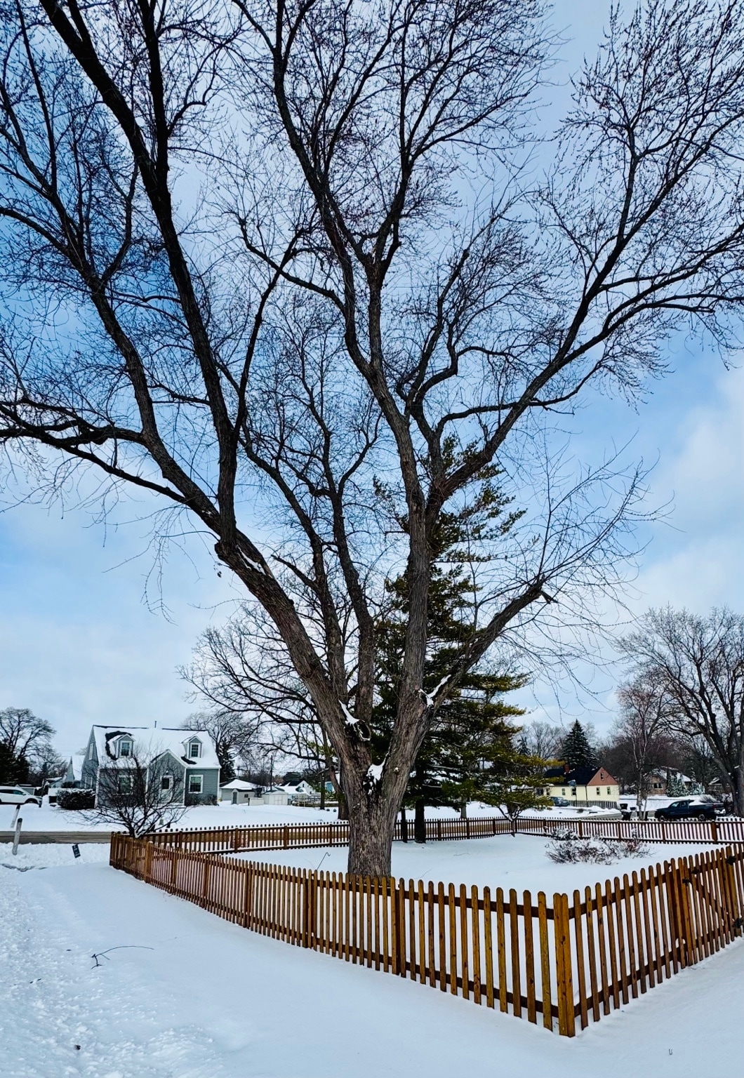 Building Photo - 1704 S Berlin Ave
