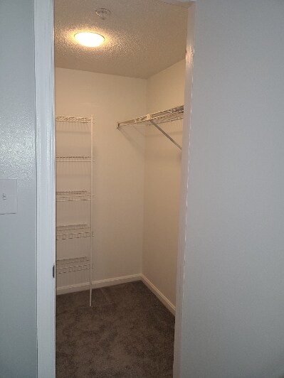 Building Photo - 15619 Easthaven Ct