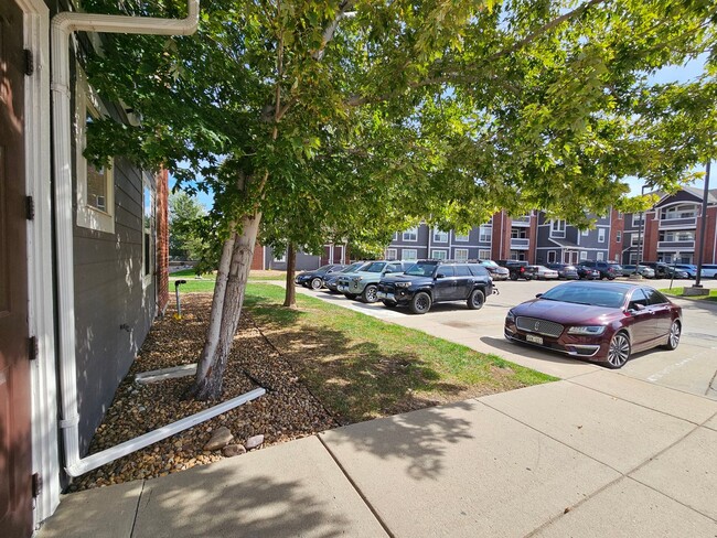 Building Photo - 14323 E 1st Dr