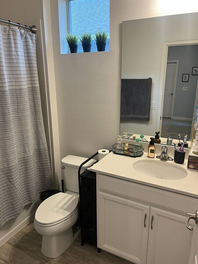 Building Photo - 887 Lady Bird Ln