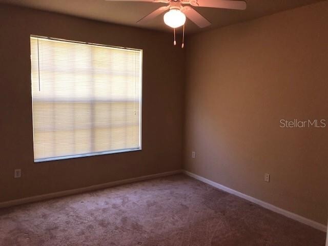 Building Photo - Oxford Place! New Tampa Condo